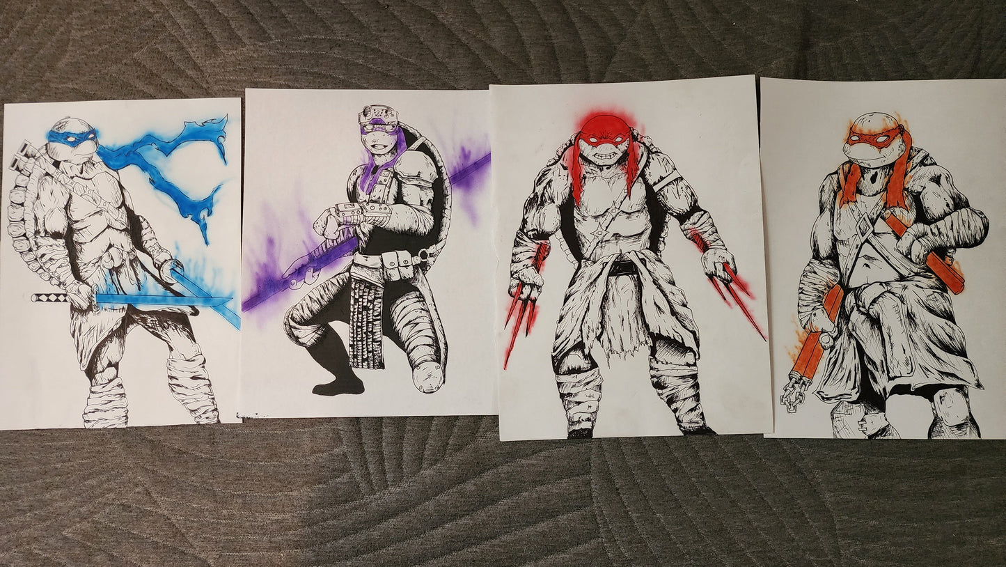 The teenage mutant ninja turtles