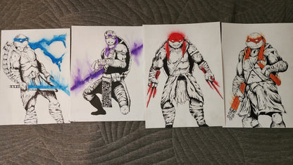 The teenage mutant ninja turtles