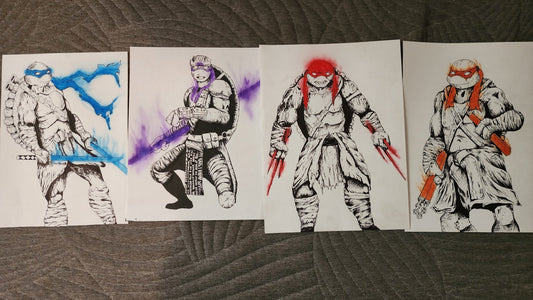 The teenage mutant ninja turtles